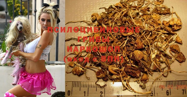 стафф Абдулино