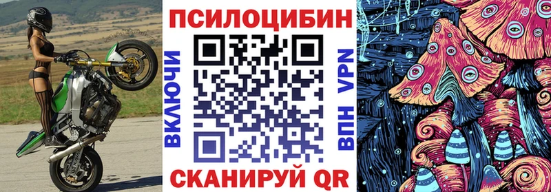 цена   блэк спрут зеркало  Галлюциногенные грибы Cubensis  Отрадная 