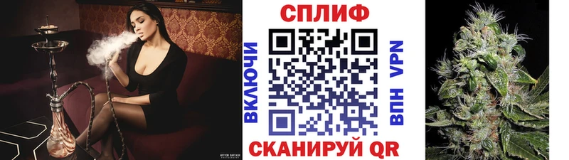 Марихуана планчик  Отрадная 